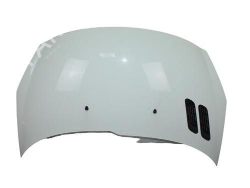 Used Hood PEUGEOT 206+ (2L_, 2M_) 1.1 (60 hp) 19181452