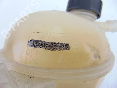 Expansion tank PEUGEOT 208 I (CA_, CC_) 1.2 THP 110 | BP8915271C120