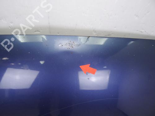 Hood FORD FOCUS II (DA_, HCP, DP)  | BP17510368C1 