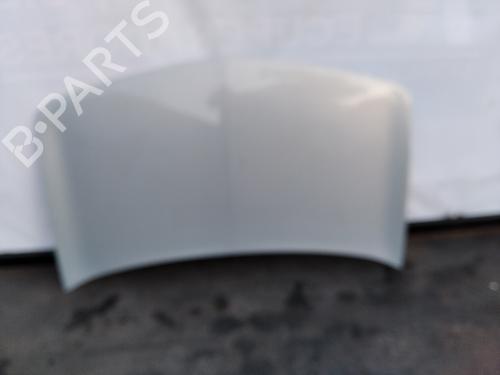Used Hood RENAULT MEGANE II (BM0/1_, CM0/1_) 1.5 dCi (BM02, BM13, BM2A, CM02, CM13) (101 hp) 26255948