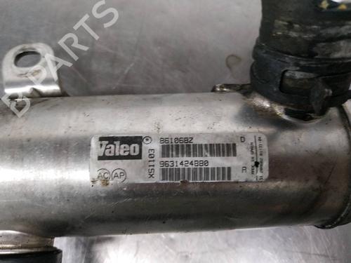 Egr CITROËN C5 II (RC_) 2.0 HDi (RCRHRH) | BP26267873M69 