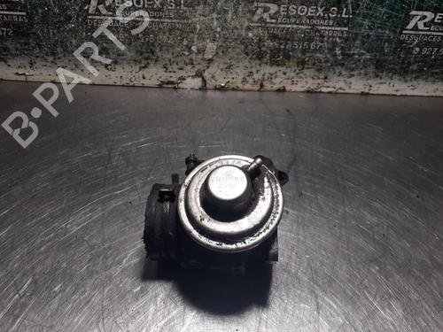 EGR-Ventil SEAT TOLEDO I (1L2) 1.9 TD (75 hp) 9073556