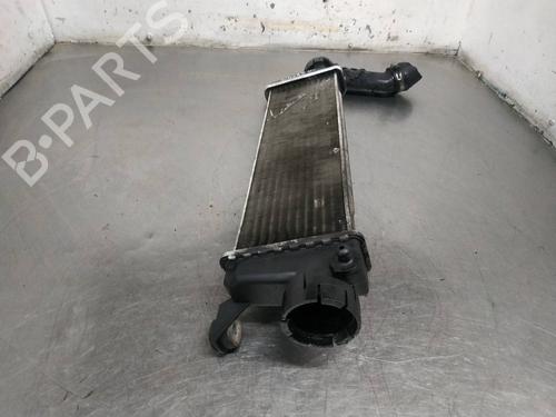 Intercooler MERCEDES-BENZ A-CLASS (W168) A 170 CDI (168.009, 168.109) | BP26267956M30 