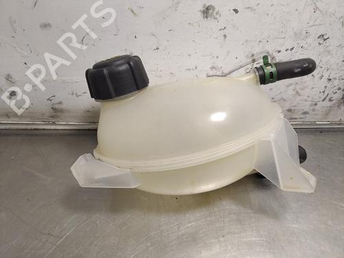 Expansion tank DACIA SANDERO II TCe 90 (B8M1, B8MA, B8AC) | BP26246052C120