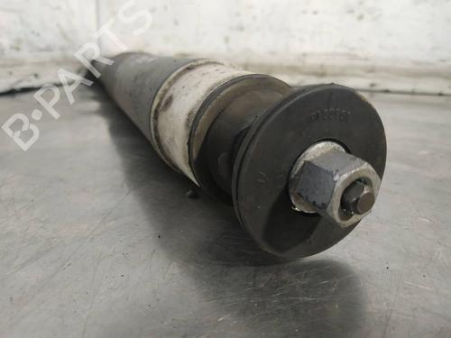 Left rear shock absorber RENAULT CLIO II Hatchback Van (SB0/1/2_) 1.5 dCi | BP26244390M18 
