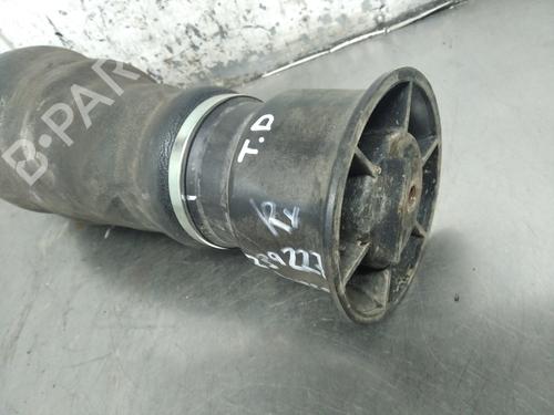 Høyre bak støtdemper IVECO DAILY III Van 35 C 12 V, 35 S 12 V (AGKA43A2, AGKB43A2, AGKB46A2,... | BP26263535M19 