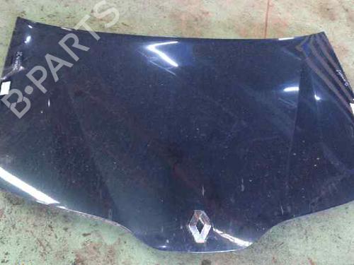 Hood RENAULT LAGUNA II Grandtour (KG0/1_) 1.9 dCi (KG0G) (120 hp)null