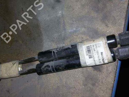 Used Hood lift support OPEL VECTRA B (J96) 2.0 DTI 16V (F19) (101 hp) 14214819