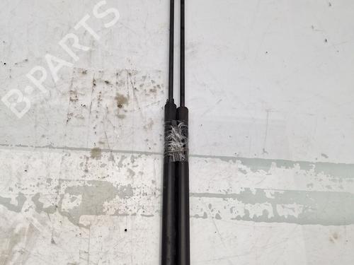 Used Tailgate lift support VW NEW BEETLE (9C1, 1C1) 1.9 TDI (90 hp) 30081494