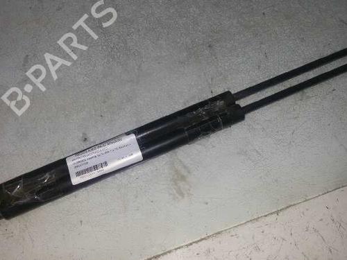Used Hood lift support CITROËN XSARA (N1) 1.9 TD (90 hp) 14214224