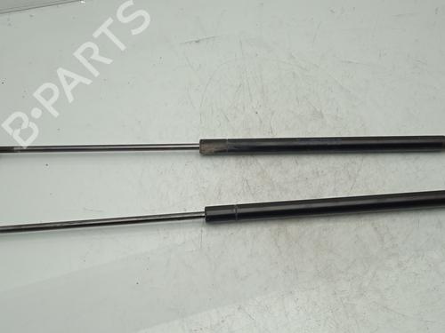 Used Tailgate lift support FORD FOCUS C-MAX (DM2) 1.8 TDCi (115 hp) 14214713
