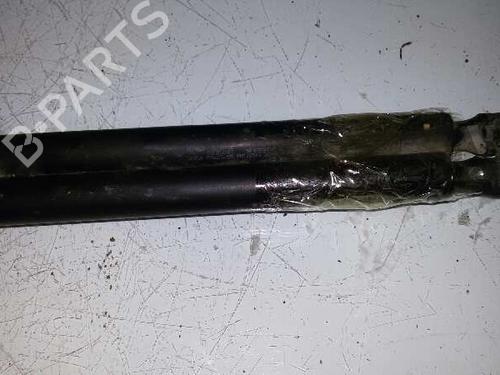 Hood lift support PEUGEOT 106 II (1A_, 1C_)  | BP14213967C139 