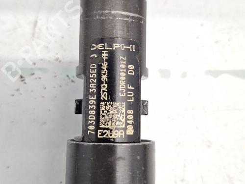 Injector FORD MONDEO III (B5Y) 2.0 TDCi | BP30883962M100