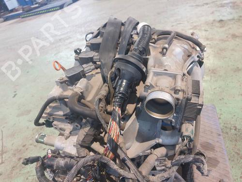 Engine NISSAN ALMERA II Hatchback (N16)  | BP7946282M1 