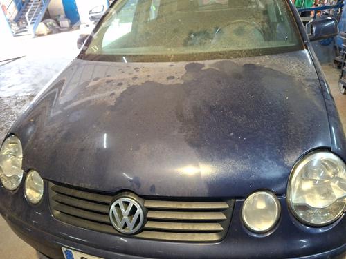 Used Hood VW POLO IV (9N_, 9A_) 1.4 TDI (75 hp) 28513699