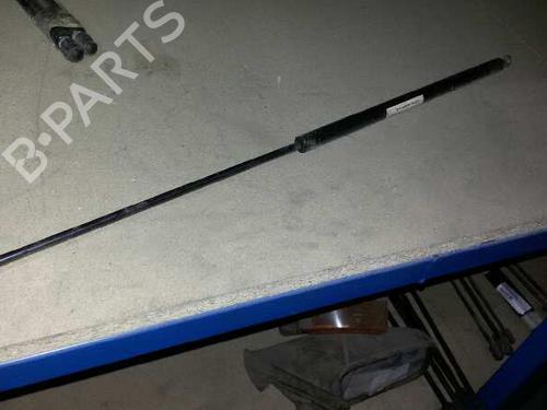 Used Hood lift support AUDI A4 B7 Avant (8ED) [2004-2008]  14215001