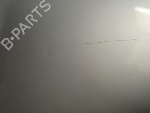 Hood RENAULT MEGANE II (BM0/1_, CM0/1_)  | BP11018831C1 