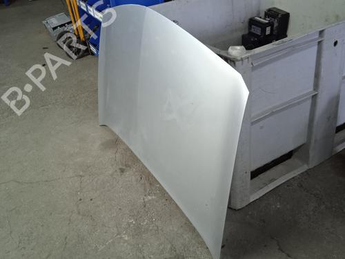 Hood RENAULT MEGANE II (BM0/1_, CM0/1_)  | BP11018831C1 