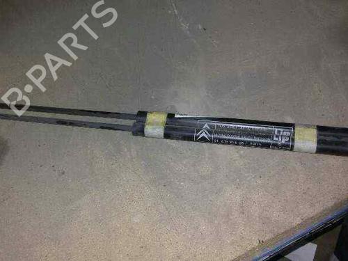 Used Tailgate lift support CITROËN AX (ZA-_) 11 (60 hp) 14215090