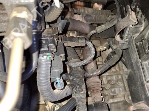 BP29209895M3 main image