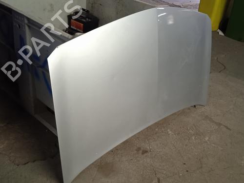 Hood RENAULT MEGANE II (BM0/1_, CM0/1_)  | BP11018831C1 