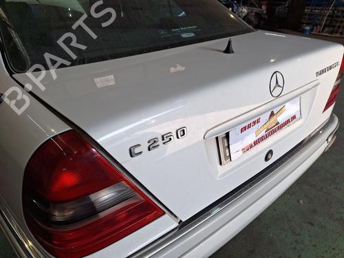 Tailgate MERCEDES-BENZ C-CLASS (W202) C 250 Turbo-D (202.128) | BP29030331C6 