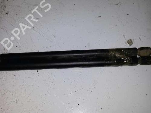 Tailgate lift support ROVER 25 I Hatchback (RF)  | BP14213948C138 