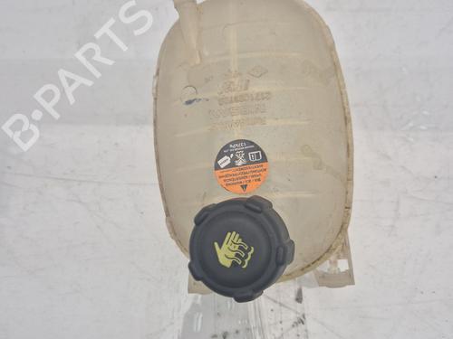 Used Expansion tank NISSAN JUKE (F16_) DIG-T 117 (117 hp) 26523853