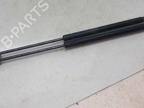 Used Tailgate lift support CITROËN C3 I (FC_, FN_) 1.4 HDi (68 hp) 14214028