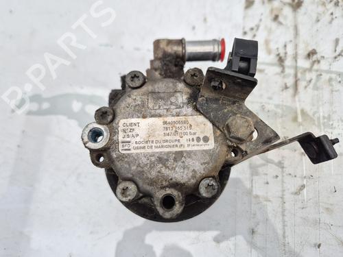 Steering pump PEUGEOT EXPERT (224_) 1.9 TD | BP29559415M99 