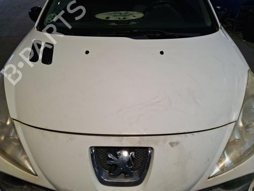 hood-peugeot-206-2l_-2m_-2009-2010-2011-2012-2013-33048565 main image