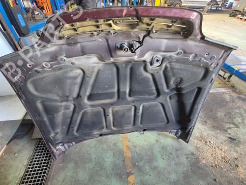 Hood SSANGYONG MUSSO (FJ) 2.3 TDiC All-wheel Drive | BP24702787C1 