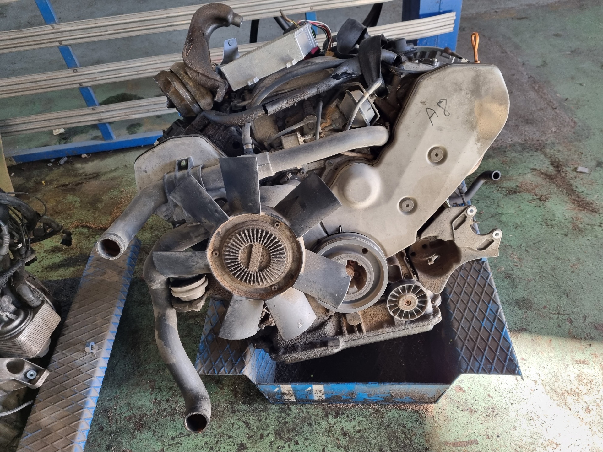 Engine AUDI A8 D2 (4D2, 4D8) S8 quattro 8386591 | B-Parts
