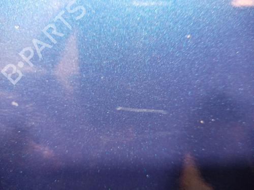 Left rear door FORD FOCUS II (DA_, HCP, DP)  | BP11173816C4 