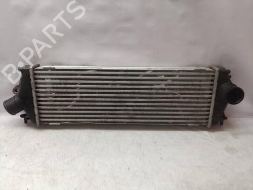 Used Intercooler OPEL VIVARO A Van (X83) [2001-2015]  10346411