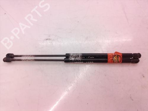 Gasfjeder motorhjelm JAGUAR S-TYPE II (X200) 3.0 V6 | BP14304013C139 