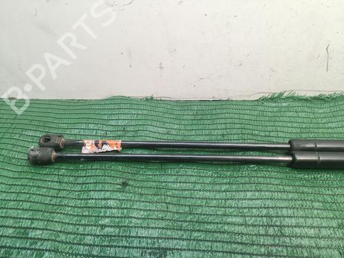 Tailgate lift support MERCEDES-BENZ M-CLASS (W163)  | BP19276097C138 