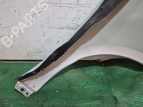 Left front fenders MERCEDES-BENZ A-CLASS (W169) A 180 CDI (169.007, 169.307) | BP29355131C41 