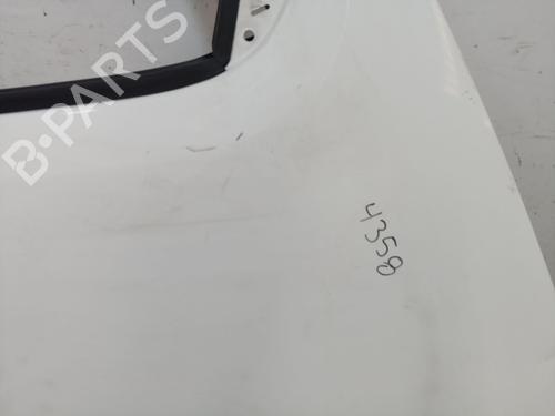 Right front door NISSAN CABSTAR E (TL_, VL_)  | BP25005619C3 