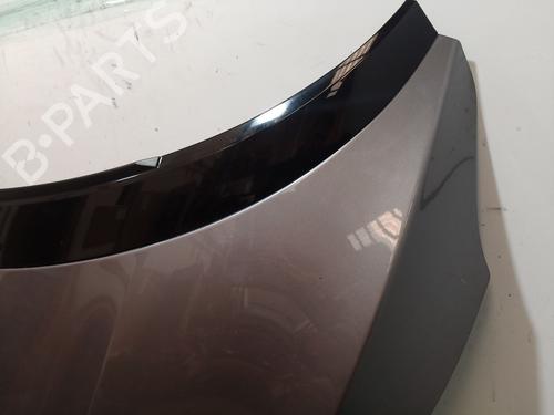 Hood RENAULT SCÉNIC III (JZ0/1_)  | BP22354284C1 