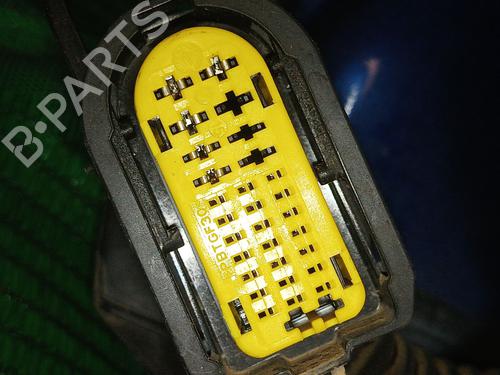 Right rear door RENAULT MEGANE III Hatchback (BZ0/1_, B3_) 1.2 TCe (BZ16, BZ28) | BP25130138C5 