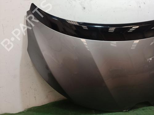 Hood RENAULT SCÉNIC III (JZ0/1_)  | BP22354284C1 