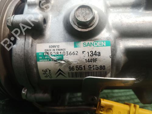 AC-Kompressor PEUGEOT 206 SW (2E/K)  | BP20295055M34 