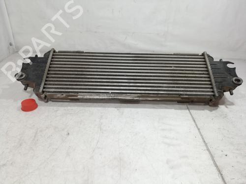 Intercooler RENAULT TRAFIC II Platform/Chassis (EL) 1.9 dCi 80 (FL0B) | BP10100993M30 