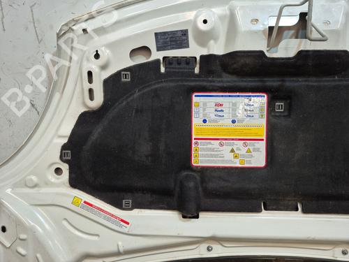 Hood FIAT 500L (351_, 352_) 1.3 D Multijet (199.LYM11, 199.LYM1A) | BP28511567C1