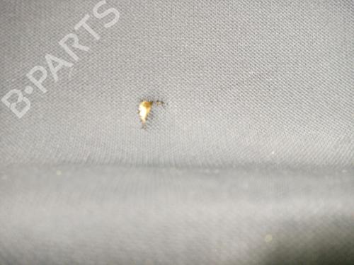 Front right panel FORD FOCUS III 1.0 EcoBoost | BP31337587C59