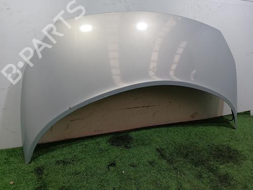 Hood RENAULT GRAND SCÉNIC II (JM0/1_)  | BP16574202C1 