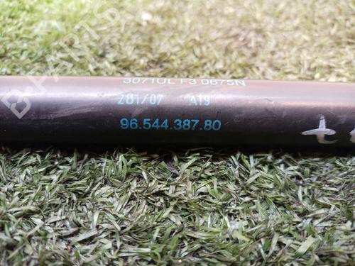 Tailgate lift support CITROËN C4 Picasso I MPV (UD_)  | BP17001060C138 