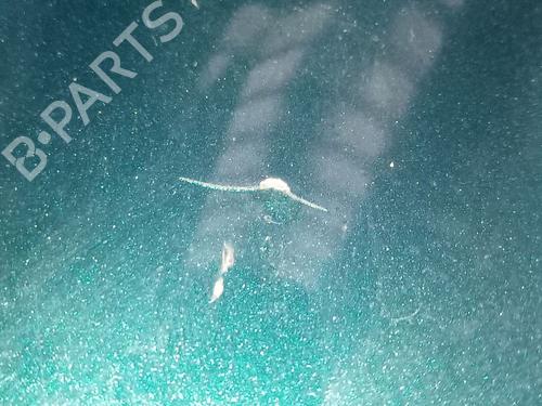 Hood MERCEDES-BENZ E-CLASS (W211) E 320 CDI (211.026) | BP30154070C1 