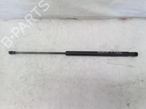 Hood lift support AUDI A3 (8L1)  | BP14303953C139 